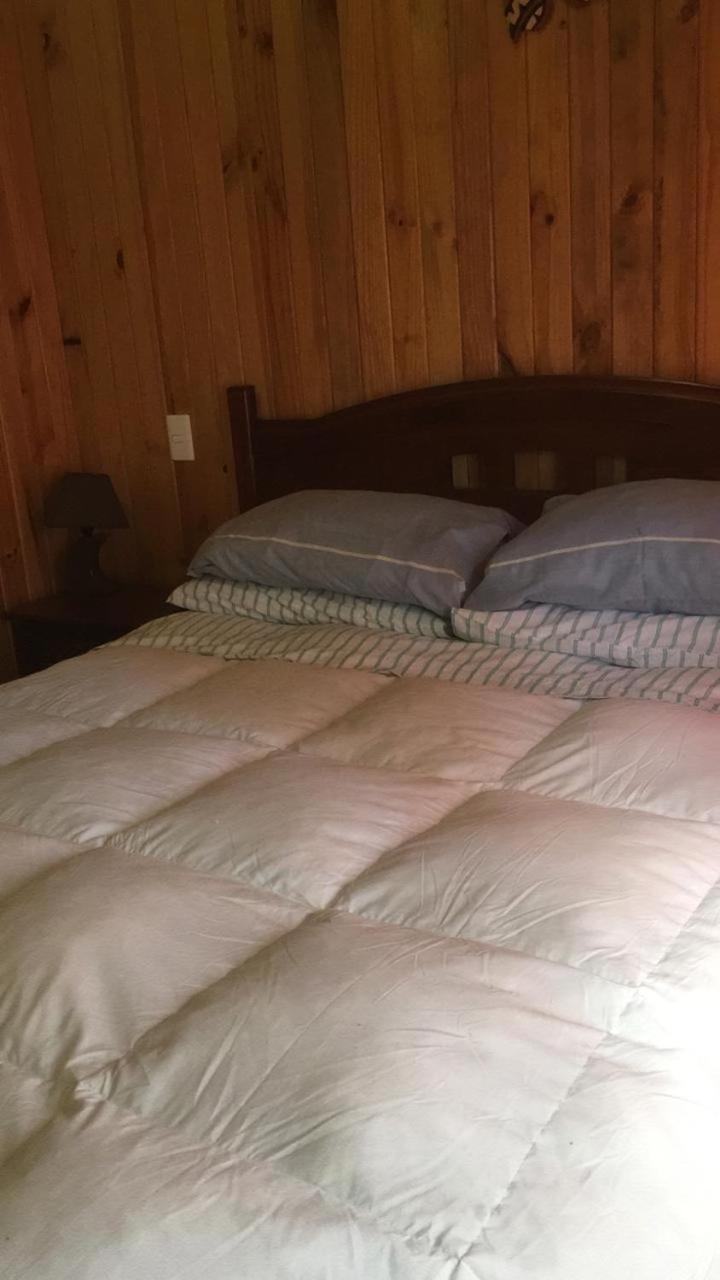 Cabanas Trabunco Pucón Buitenkant foto