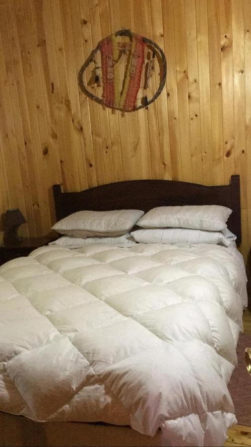 Cabanas Trabunco Pucón Buitenkant foto